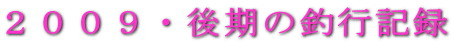 �Q�O�O�X�E����̒ލs�L�^ 