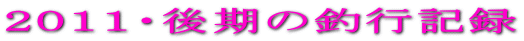�Q�O�P�P�E����̒ލs�L�^ 